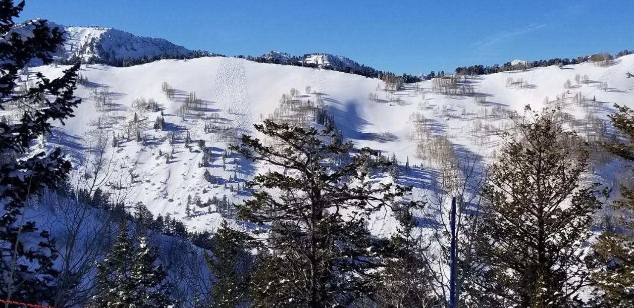 Stunning At Solitude, Steps From Chair Lift, East #103 Brighton Extérieur photo