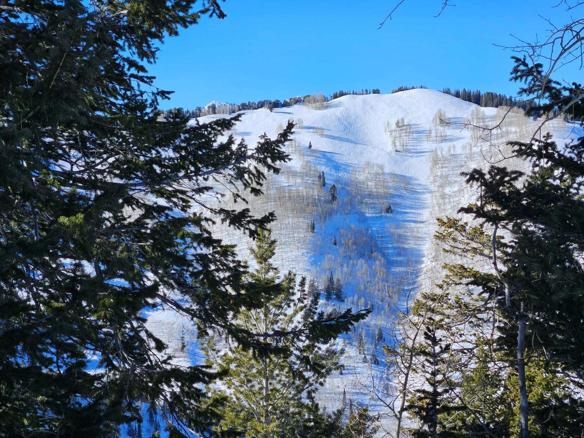 Stunning At Solitude, Steps From Chair Lift, East #103 Brighton Extérieur photo